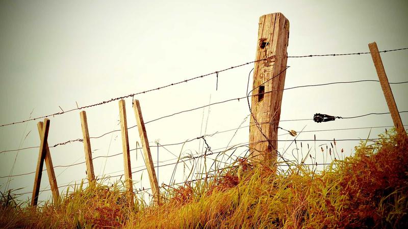 2026英雄联盟全球总决赛小组赛战报，RNG战队以2胜1负暂列小组第一